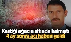 Kestiği ağacın altında kalmıştı, 4 ay sonra acı haberi geldi
