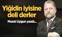 Yiğidin iyisine deli derler