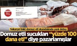 Sakarya'daki domuz eti skandalında yeni detay! Domuz etli sucukları “yüzde 100 dana eti” diye pazarlamışlar