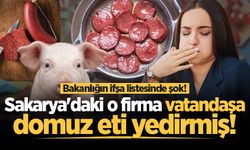 Bakanlığın ifşa listesinde şok! Sakarya'daki o firma vatandaşa domuz eti yedirmiş!