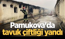 Pamukova'da tavuk çiftliği yandı
