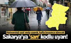 Meteoroloji'den sarı kodlu uyarı: Sakarya'ya yeni sağanak dalgası geliyor! Hafta boyunca sürecek...