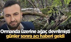 Ormanda üzerine ağaç devrilmişti, günler sonra acı haberi geldi