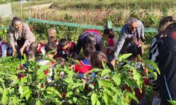 Minik öğrenciler tarımla tanıştı