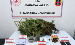 Jandarmadan uyuşturucu operasyonları: 3 tutuklama