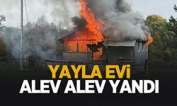 Yayla evi yandı