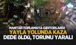 Yayla yolunda kaza: Dede öldü, torunu yaralı