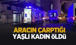 Feci kaza! Yaşlı kadın hayatını kaybetti