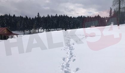 Fotoğraflar bugün çekildi! Sakarya'da yükseklere kar yağdı