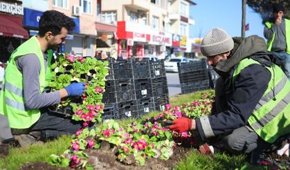 Sakarya'nın sokakları renkleniyor