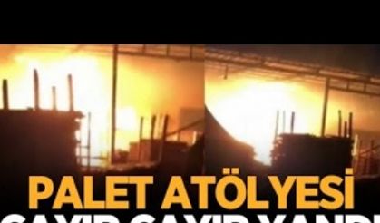 Palet atölyesi cayır cayır yanan alevlere teslim oldu