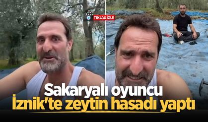 Sakaryalı oyuncu İznik'te zeytin hasadı yaptı
