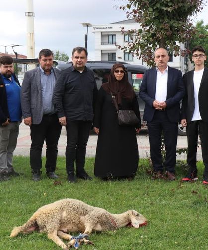 Seçimi kazanan Erdoğan için ilçe belediyesinin bahçesinde koç kestirdi