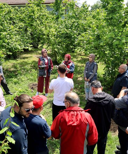 Sakarya’da kahverengi kokarca kabusuyla mücadele başladı
