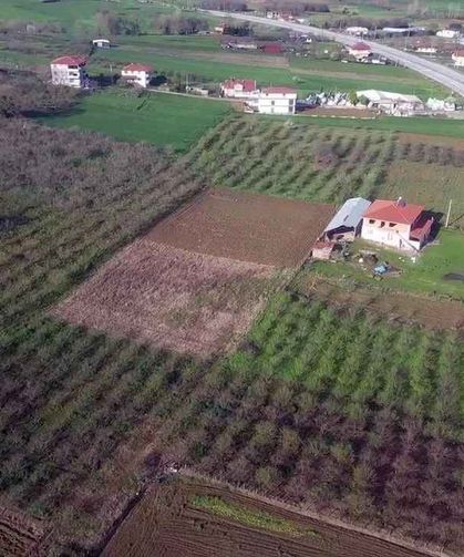 OSB iptal edilen alanda iş makinaları ‘hukuksuz’ çalışıyor