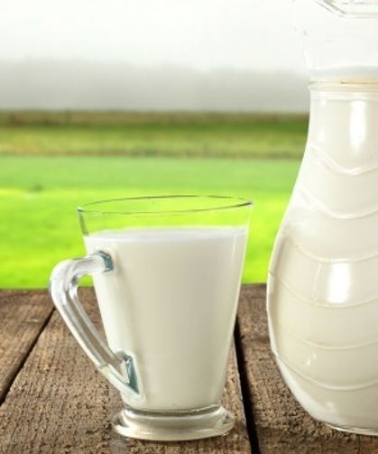 Süt üretimi arttı