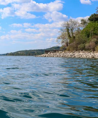 Turna Balığı ve Sapanca Gölü için açıklama