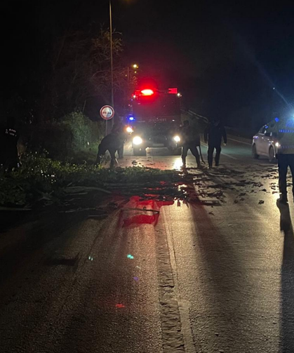 Ağaç yola devrildi