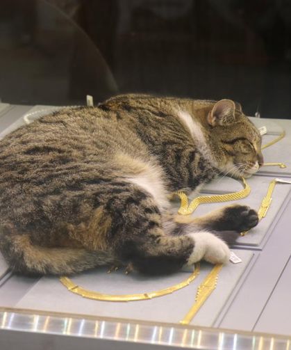 Altınların bekçisi "Şaziye", esnafı her sabah kapıda karşılıyor