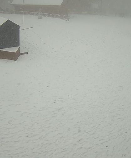 Kartepe'de lapa lapa kar yağıyor