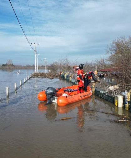 Sakarya AFAD ekibi, koyunları taşkından botla kurtardı