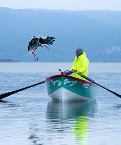 Yaren leylek erken geldi