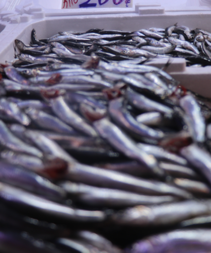 Taze hamsi döndü, vatandaş pazara koştu