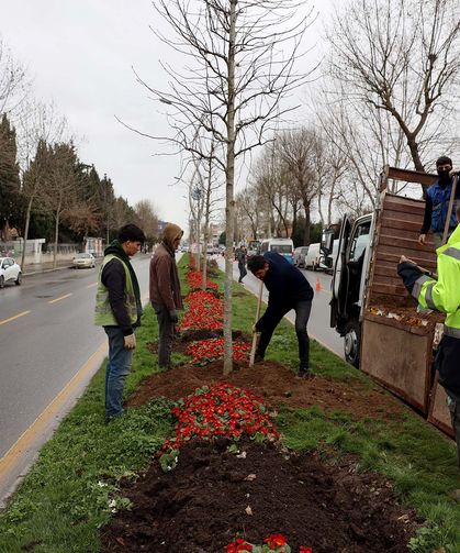 “Yeşil Şehir” vizyonuyla Sakarya’nın dört bir yanı ağaçlandırılıyor
