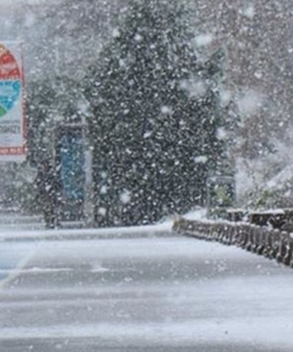 Sakarya'nın o ilçelerine kar uyarısı geldi!