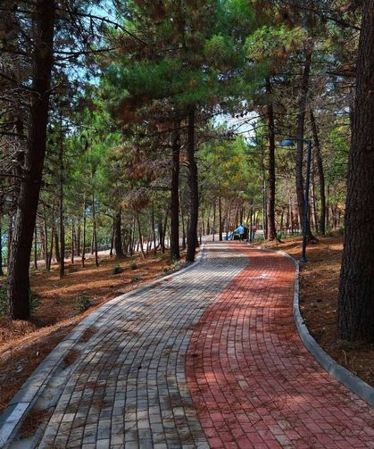 Şehirde bir ilk: Sakaryalılar baharı ‘Huzur Koridoru’nda koşarak karşılayacak