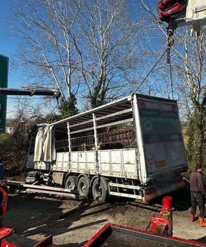 TEM’de kurbanlık yüklü tır şarampole uçtu