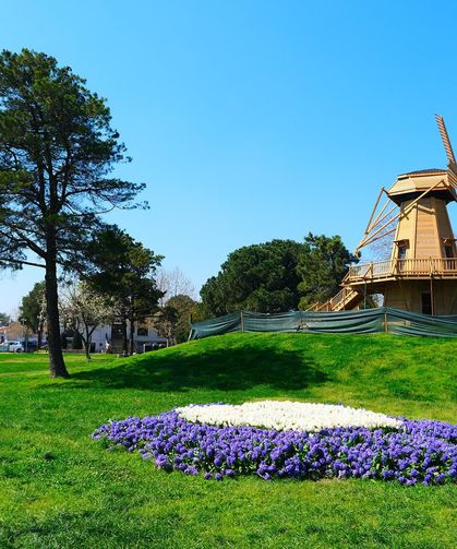 Sakarya’da baharın büyüleyici cümbüşü