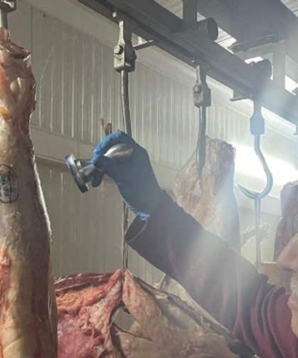 Kesimhanelere sıkı denetim