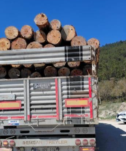 Tonajı aştı, cezadan kaçamadı