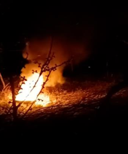 Üretici meyve ağaçlarını ateş yakarak koruyor