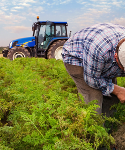 Sakarya İl Tarım’dan üreticiye çağrı