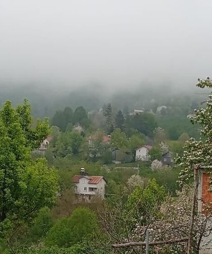 Hendek'in yüksek kesimlerinde bahar ve sis bir arada