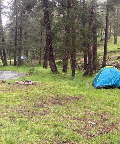 Piknik yaptıkları alana yıldırım düştü: 1'i ağır 3 yaralı