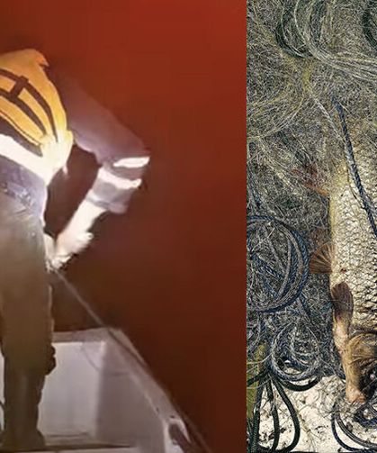 Çaltıcak Gölü’nde kaçak ağ operasyonu: 250 metrelik ağ ele geçirildi