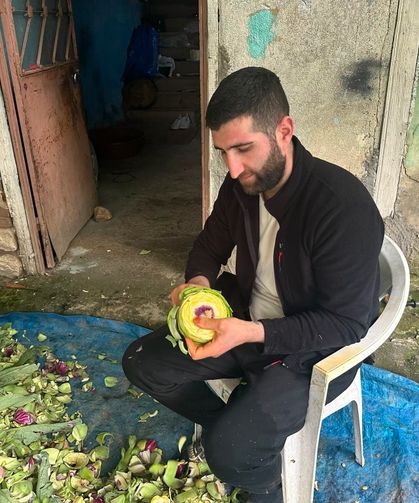 Enginar soyarak ayda 240 bin lira kazanıyor