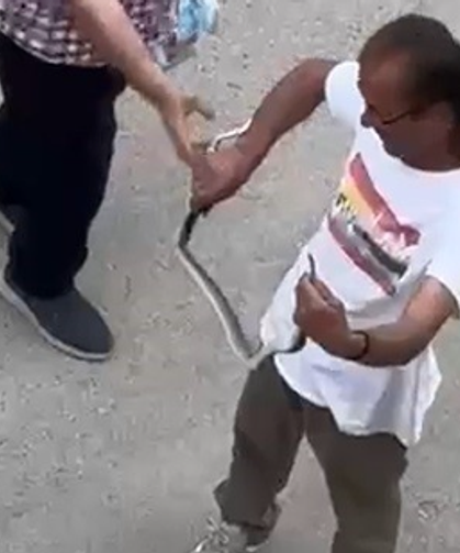 Paniğe sebep olan yılanı eliyle yakaladı