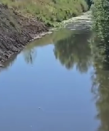 Sapanca Gölü Koruma Platformu’ndan Derbent Deresi için çağrı