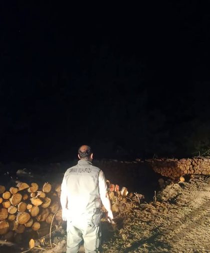 Geyve'de ormanlar gece gündüz korunuyor: Alifuatpaşa'da 7/24 denetim