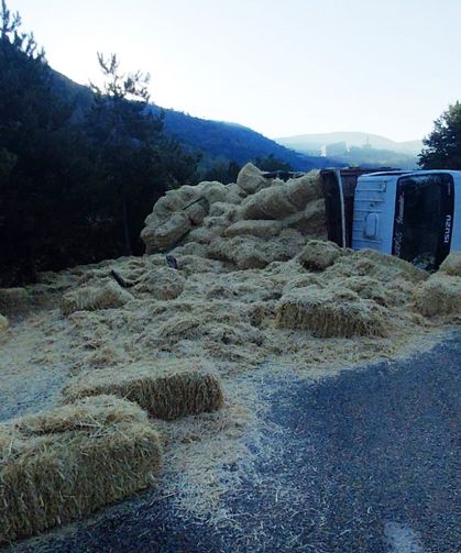 İki kamyon kafa kafaya çarpıştı: Samanlar yola saçıldı, 2 yaralı
