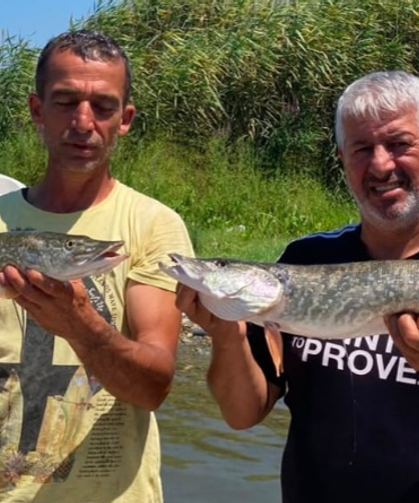 Usta balıkçı Mehmet Akbaş fark atıyor