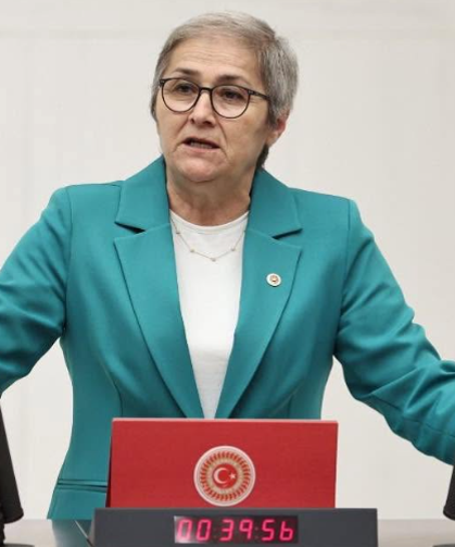 Ayça Taşkent’e Yeni Parti'de yeni görev