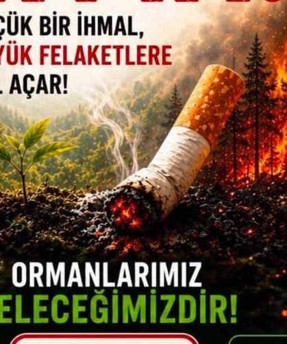 Sakarya Jandarması'ndan orman yangınlarına karşı yeni proje: "Küçük bir izmarit, büyük bir felaket olmasın"