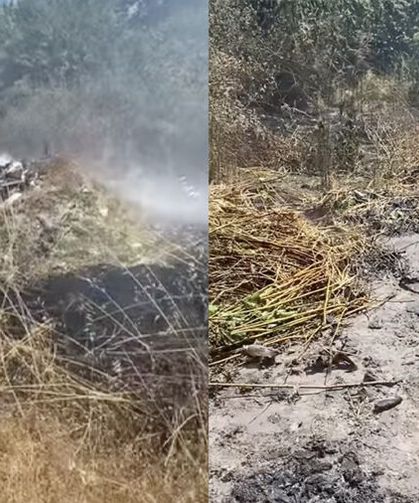 Hendek'te ormanlık alanda yangın paniği: Alevler büyümeden söndürüldü