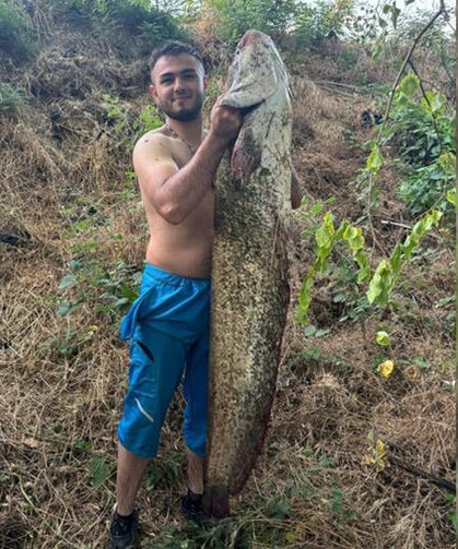 Sakarya Nehri’nde 40 kiloluk dev yayın balığı yakaladı