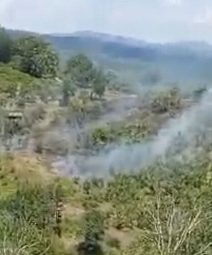 Hendek'te fındıklık yangını: 3 dönümlük alan zarar gördü
